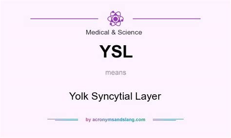 yslf acronym